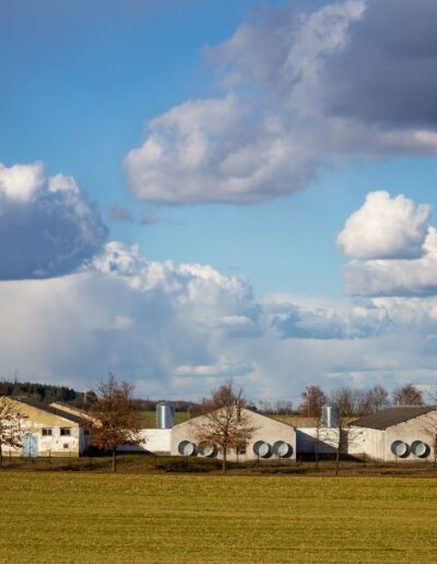 Tidwell Construction - Services - Poultry Houses